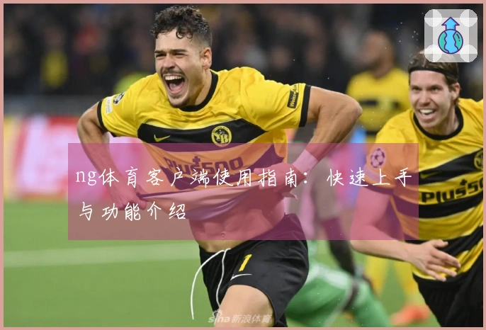 ng体育客户端使用指南：快速上手与功能介绍