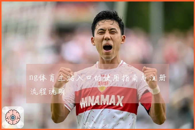 ng体育主站入口的使用指南与注册流程说明
