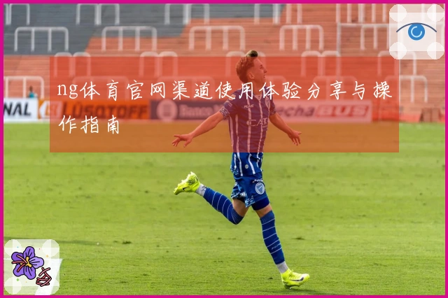 ng体育官网渠道使用体验分享与操作指南