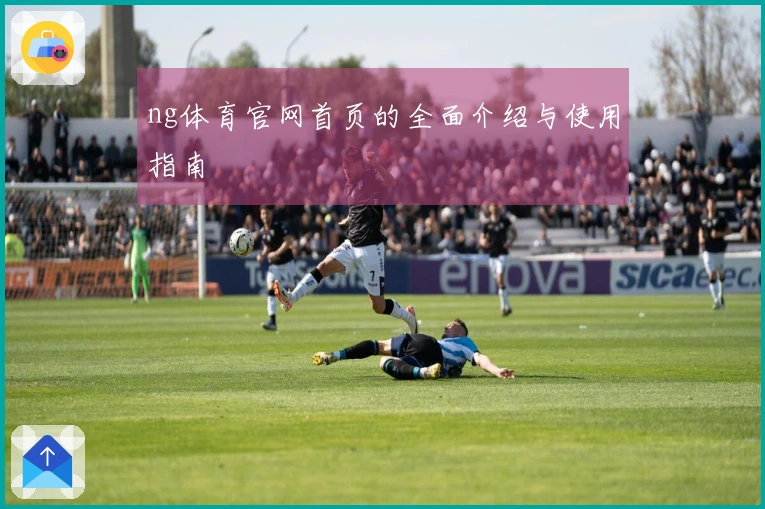 ng体育官网首页的全面介绍与使用指南