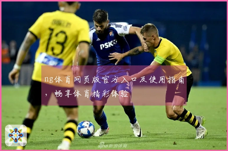 ng体育网页版官方入口及使用指南，畅享体育精彩体验