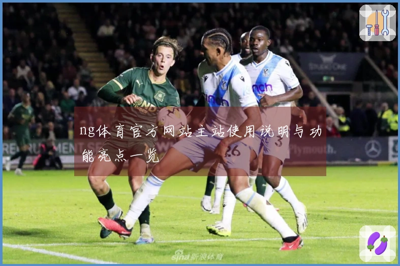 ng体育官方网站主站使用说明与功能亮点一览
